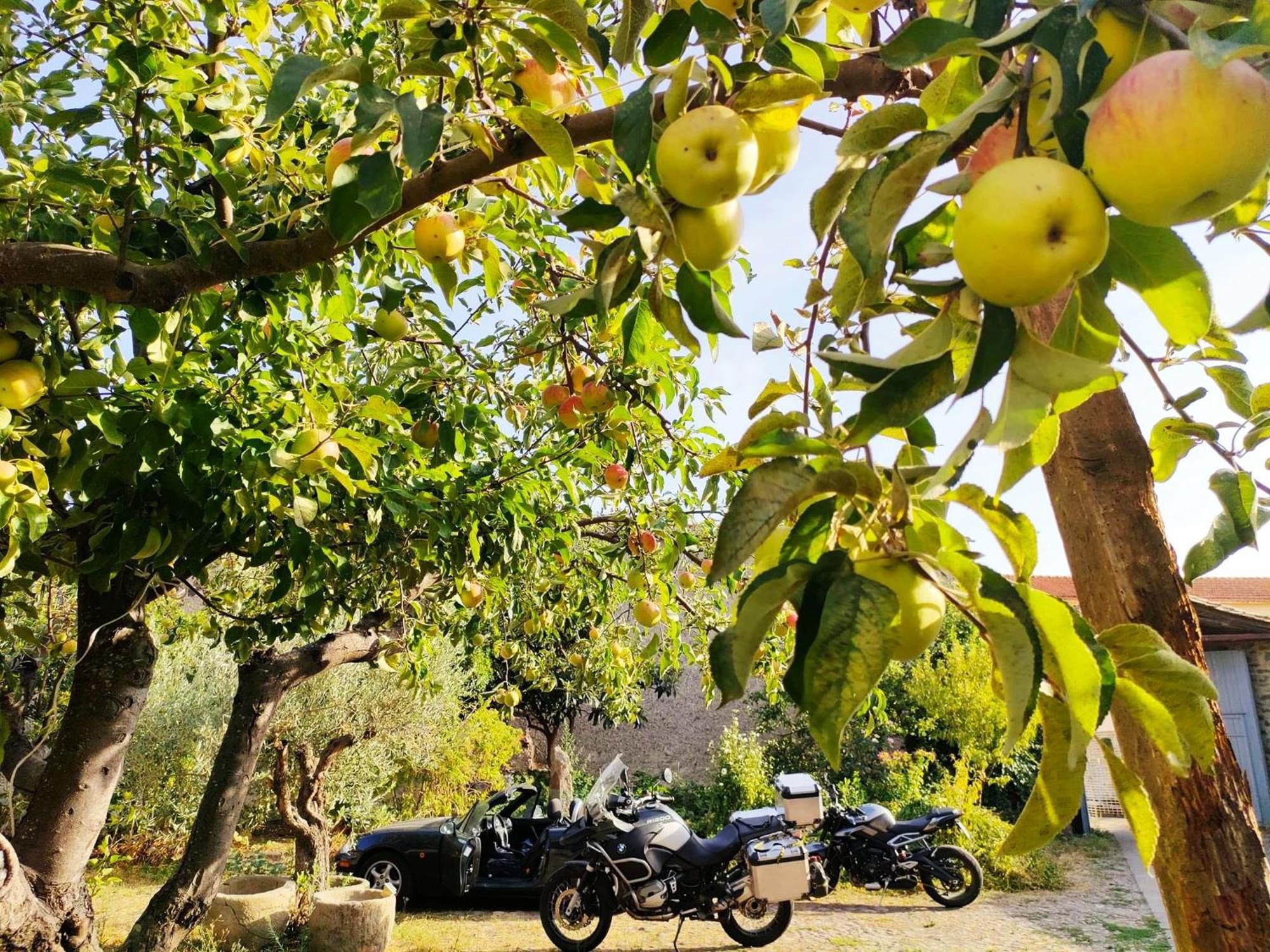 Bed and Breakfast Is Antas Orroli Exterior foto